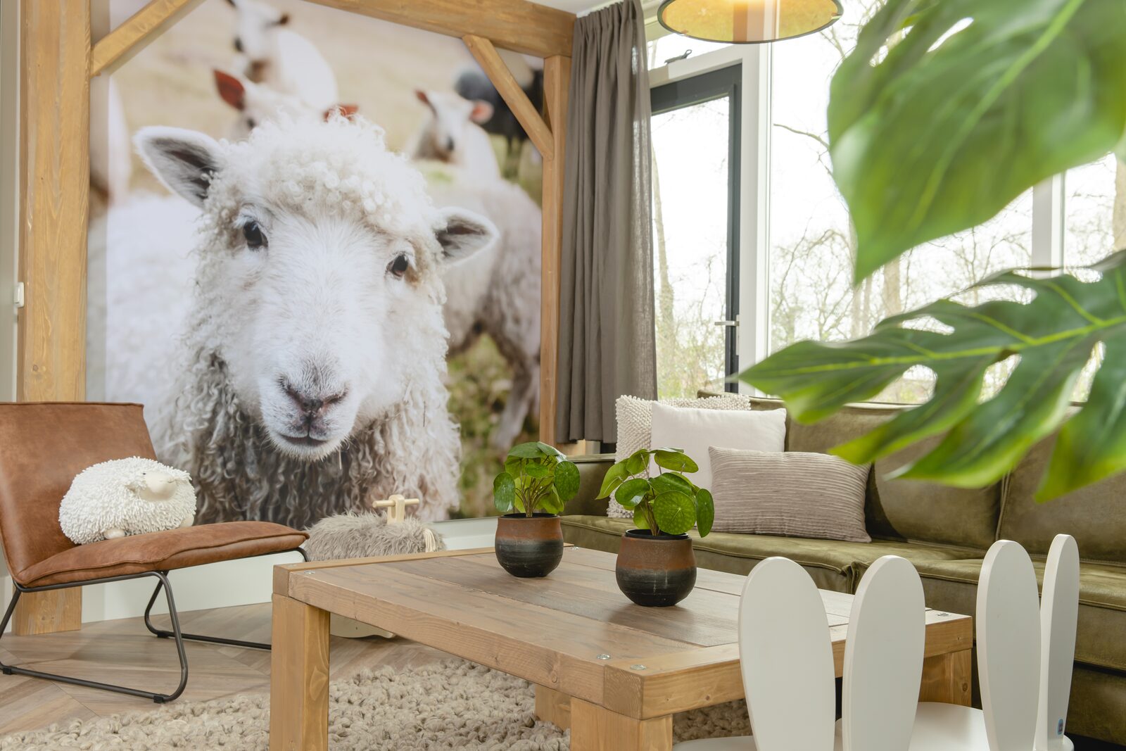 Bekijk onze accommodaties