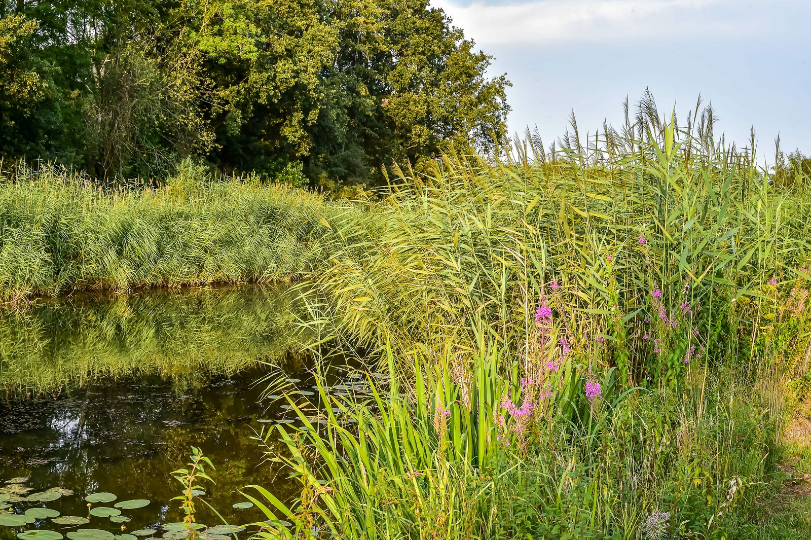 Werkzaamheden op het park