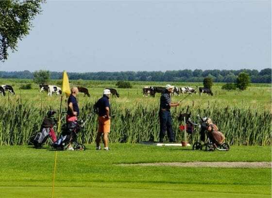 Golfen Overijssel