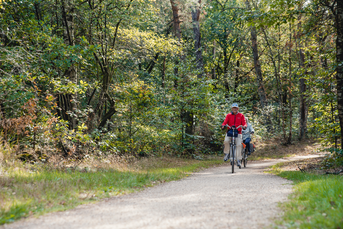 Fietsvakantie Overijssel