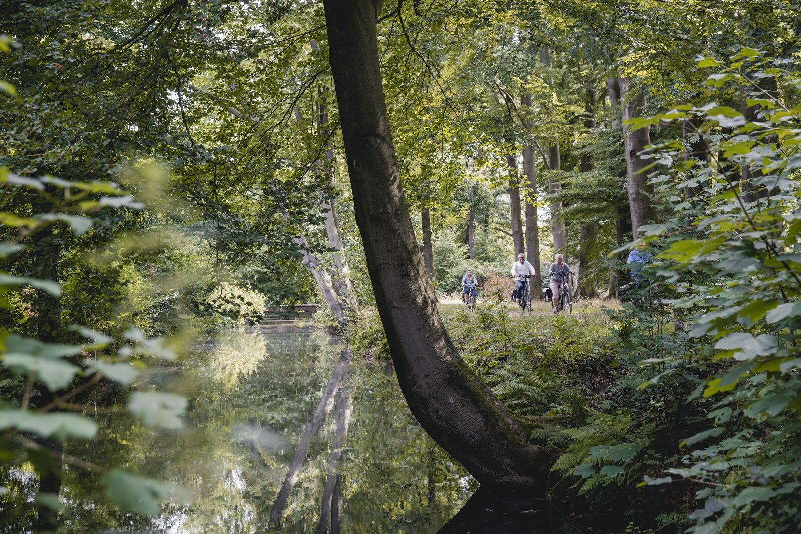 fietsvakantie in overijssel