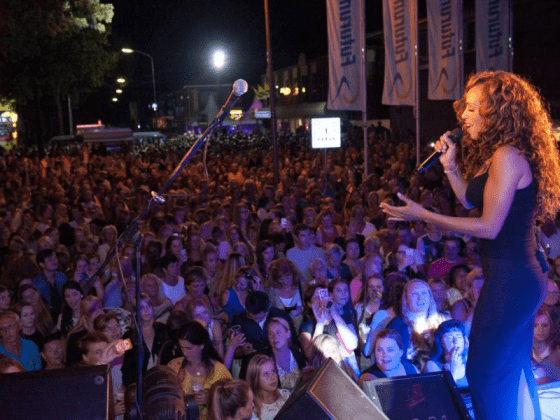 Vele verschillende zomerfeesten