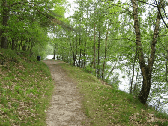 Het Hulsbeek wandelgebied