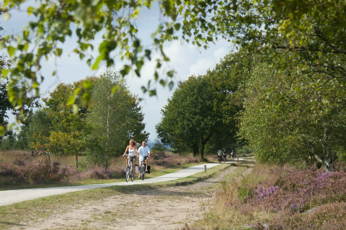 Fietsen en wandelen