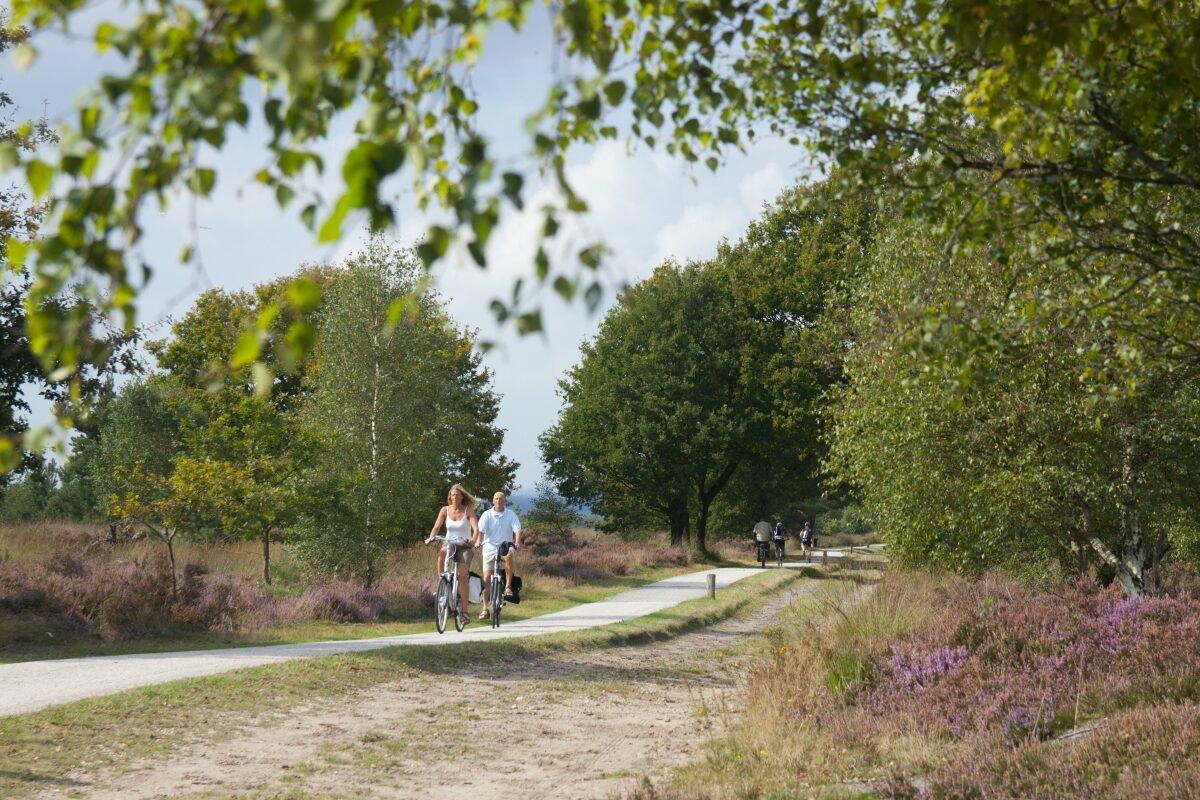 Fahrrad fahren und wandern 