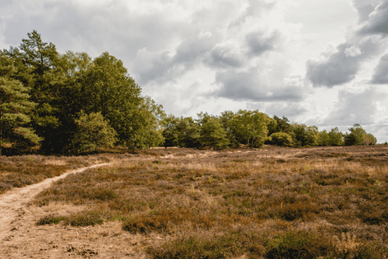 Wielrennen in Twente