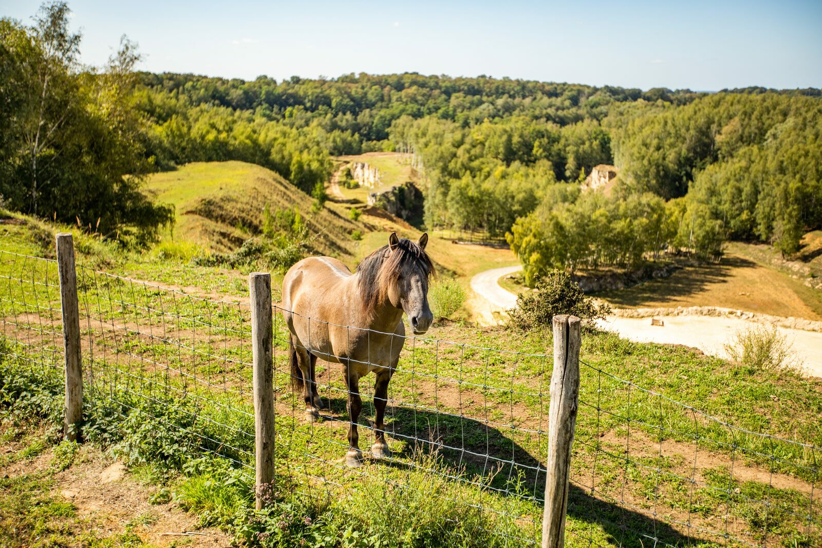 Surroundings Resort Mooi Bemelen