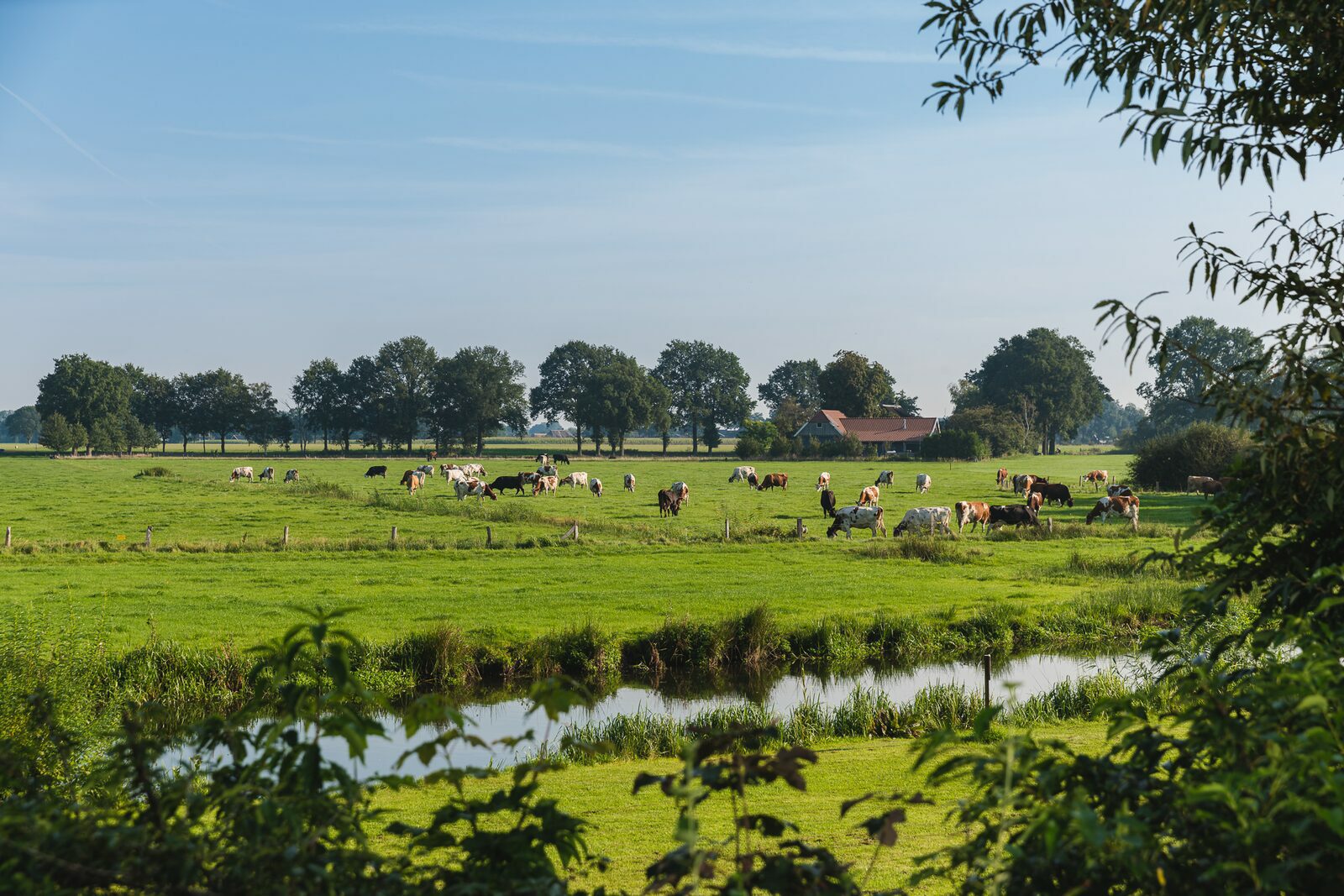 omgeving twente