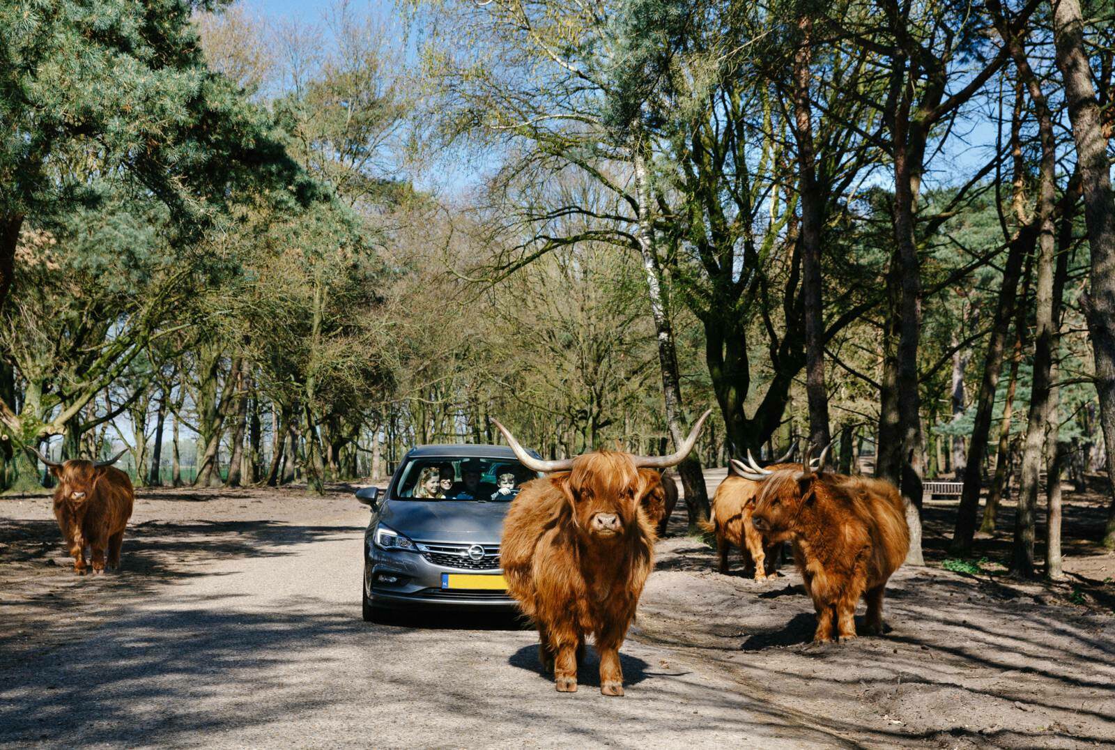 Safari Park Beekse Bergen