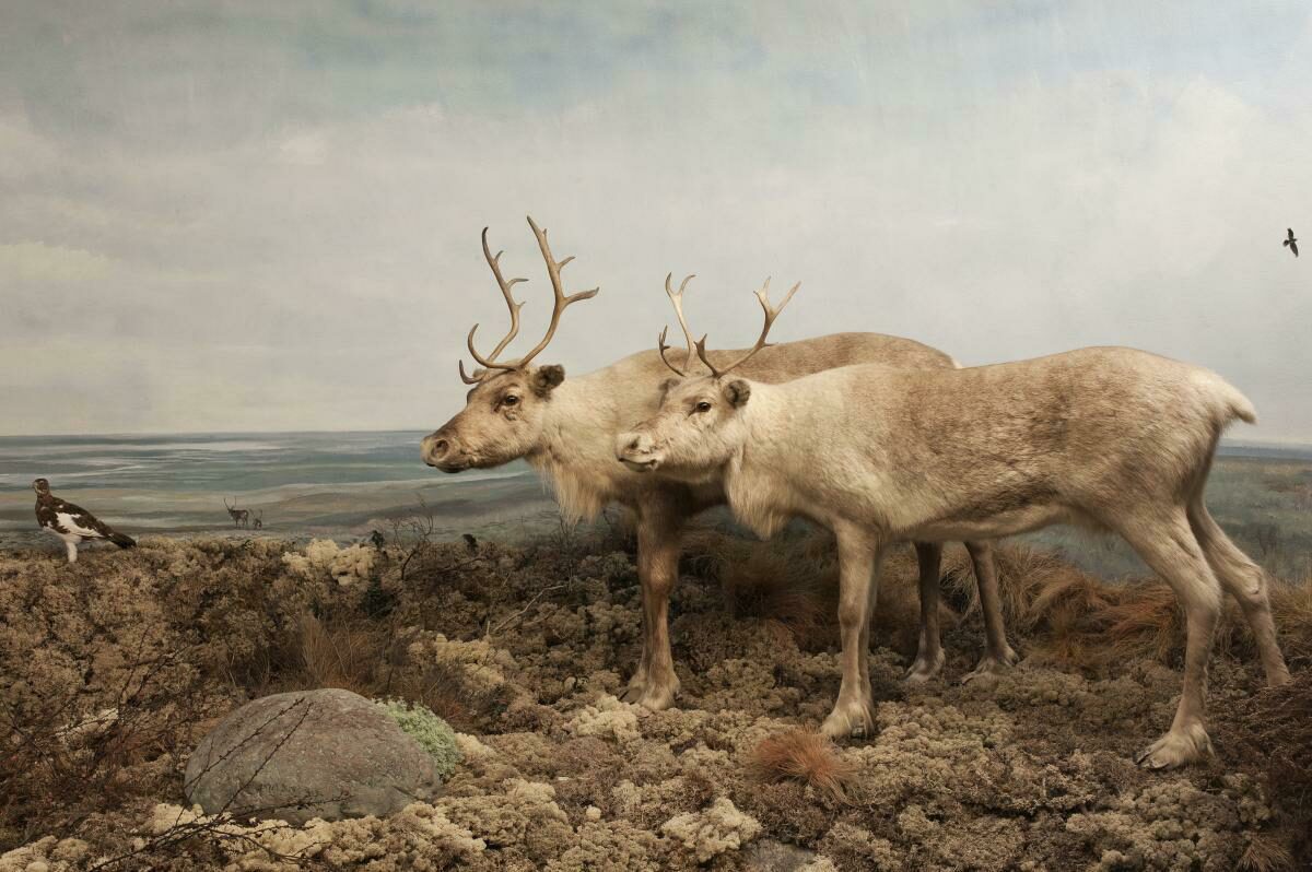 Nature museum Holterberg