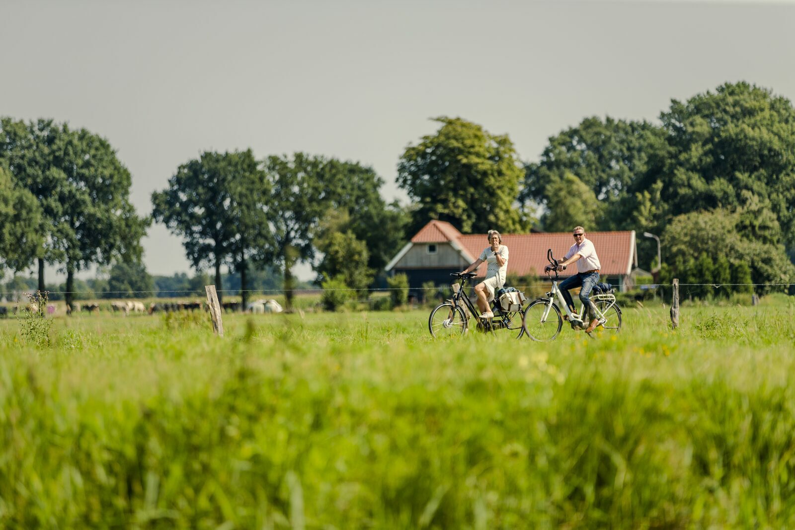 Vakantie in Twente