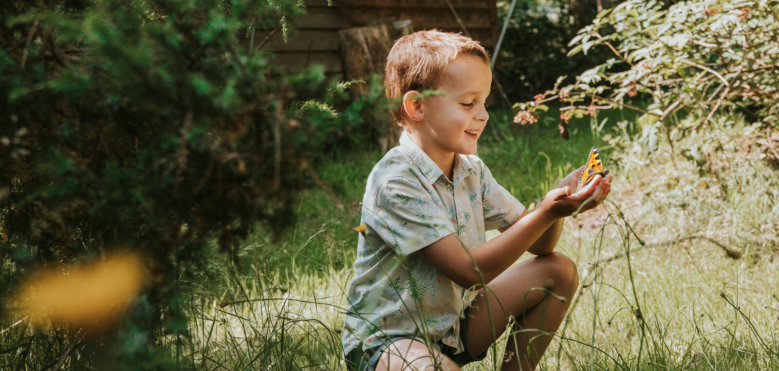 Fotobeleving Omgeving Beerze Bulten