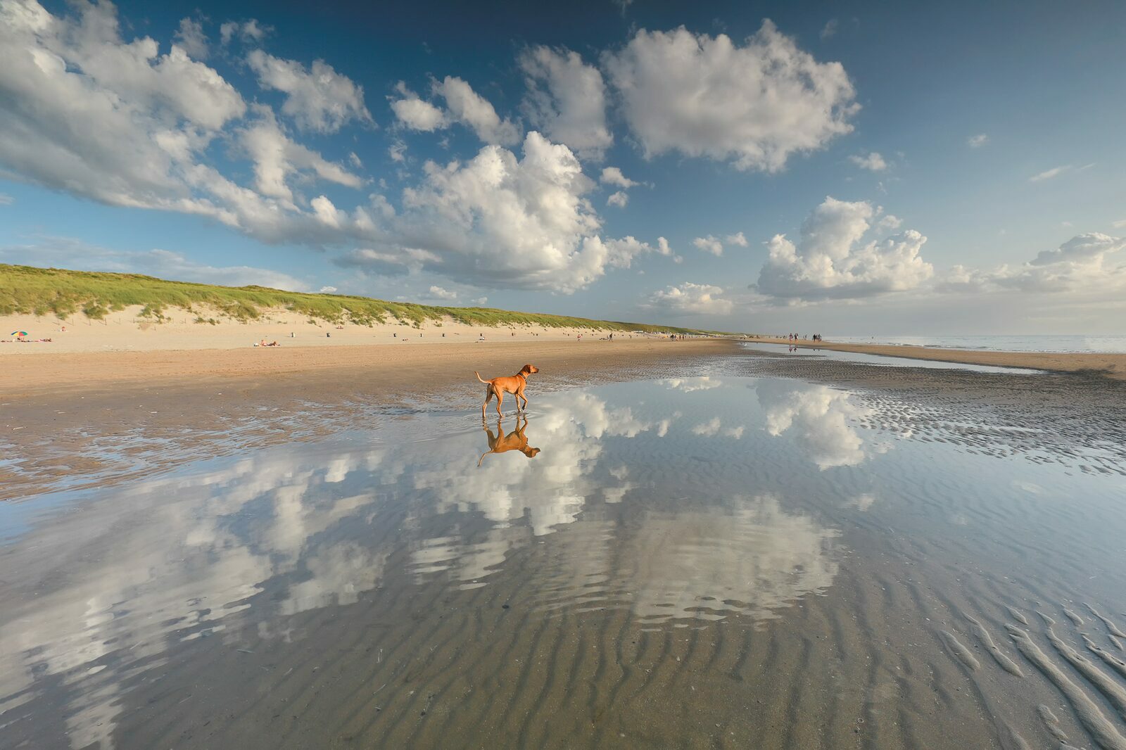 Autumn holiday in Zeeland