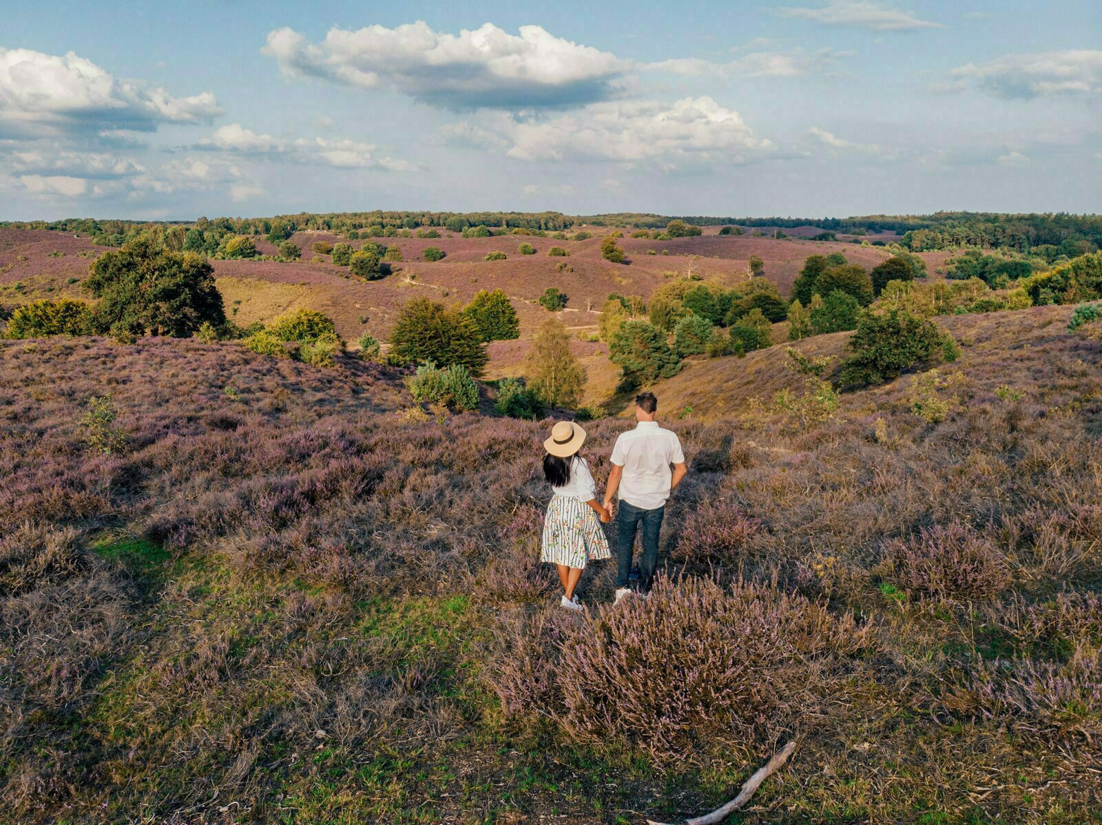 Overnight stay on the Veluwe