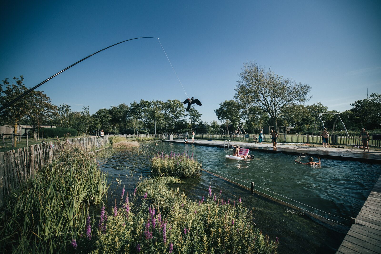 Natural swimming pool