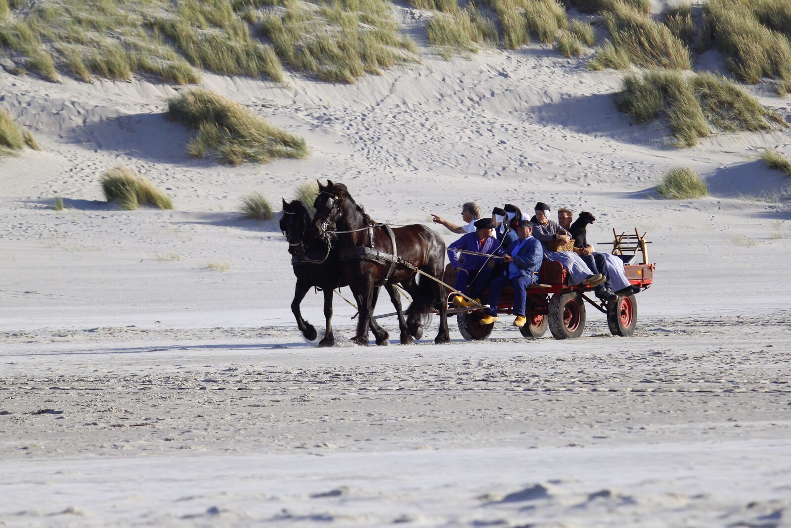 Huifkartocht