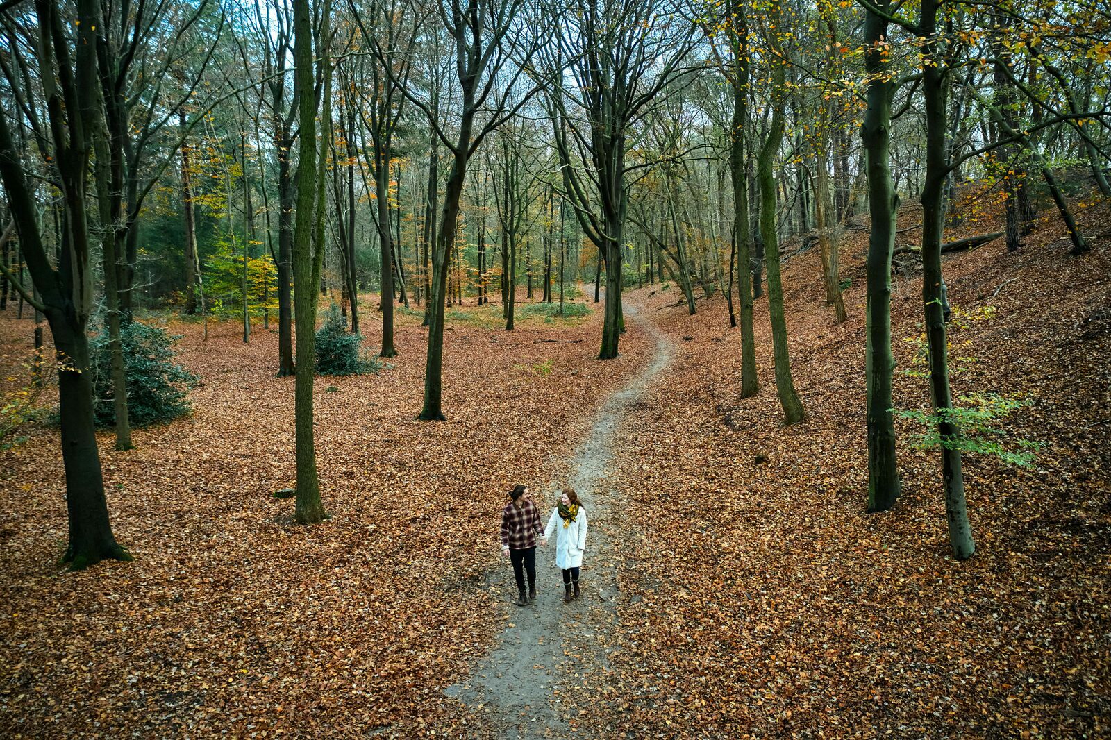 Vakantiepark de IJsvogel