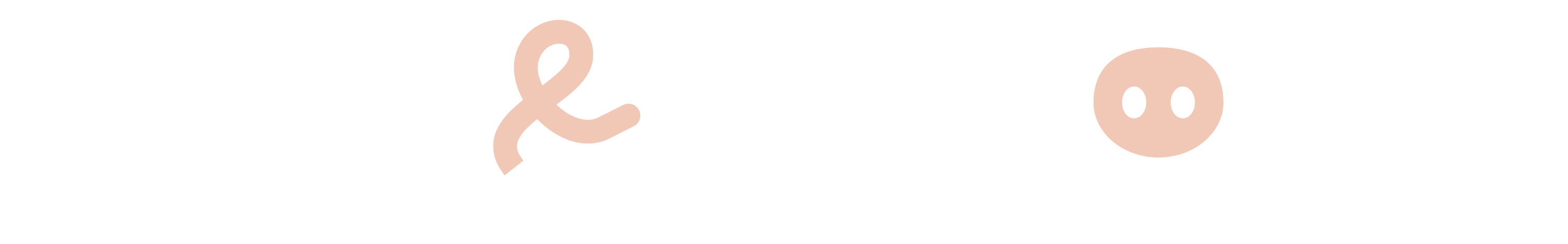 Pigs & Pillows
