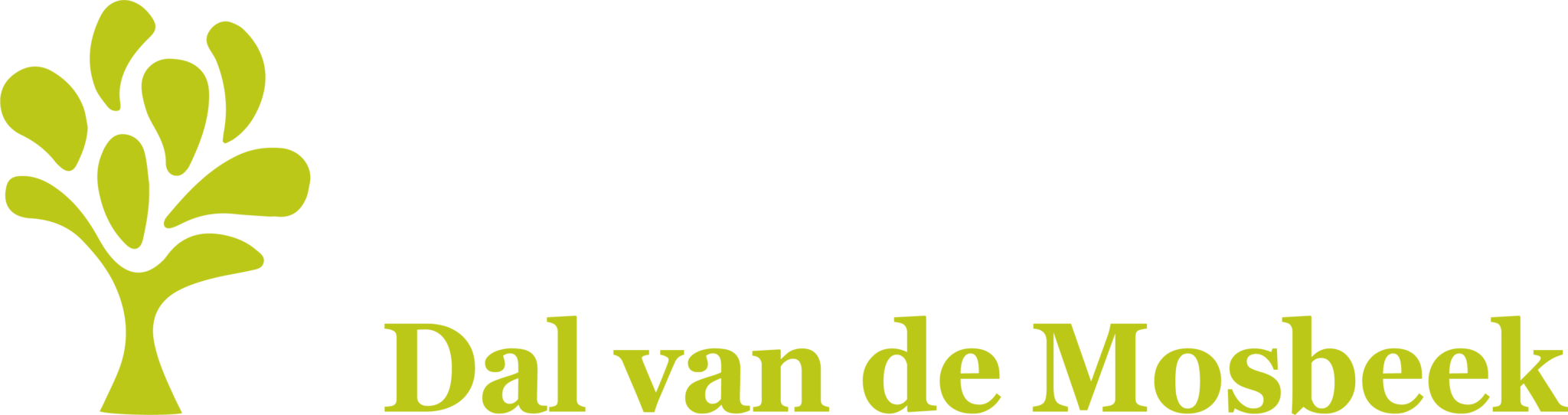 Camping Dal van de Mosbeek