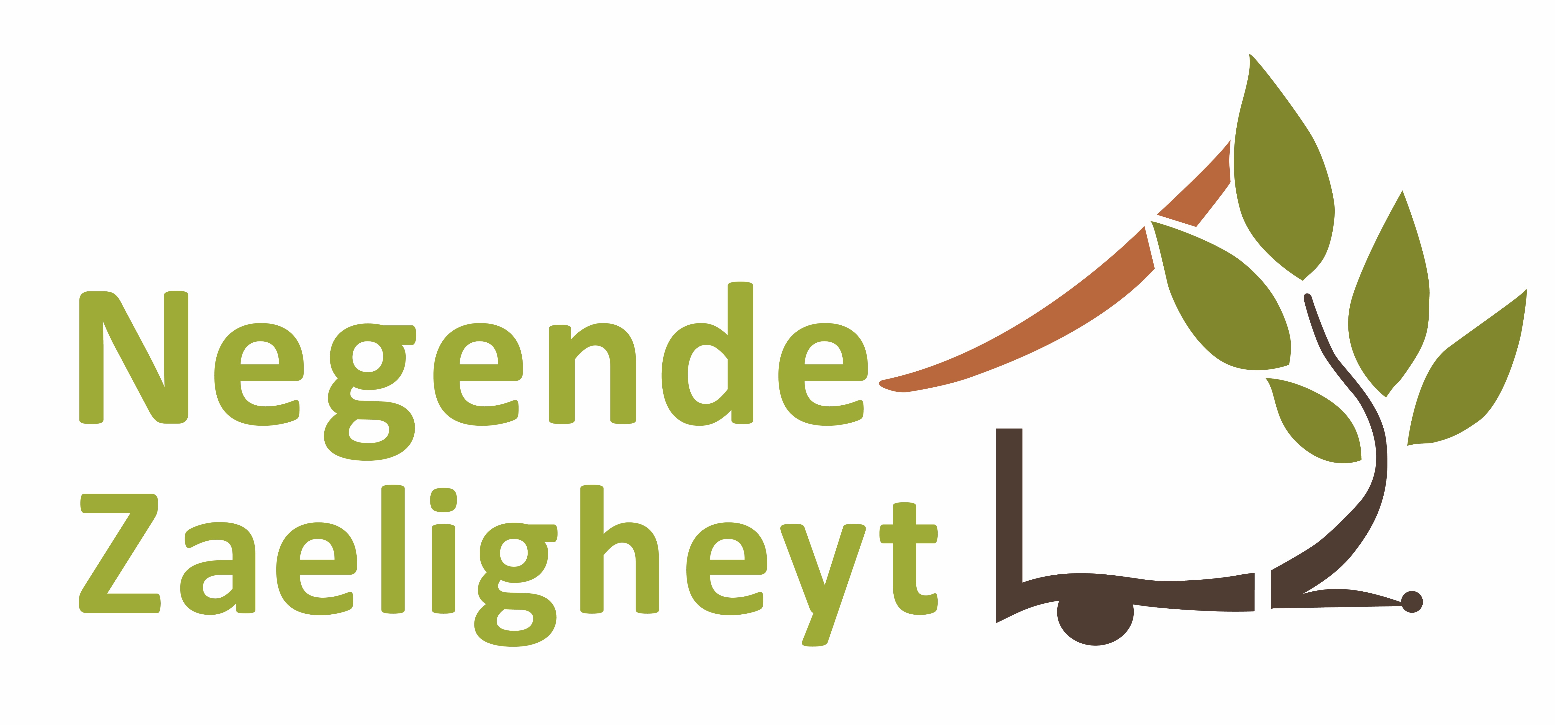 De Negende Zaeligheyt - Zoek & Boek